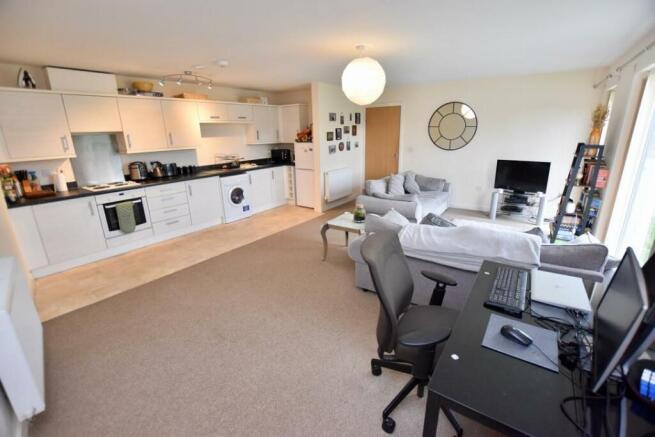 Kitchen / Dining / Living