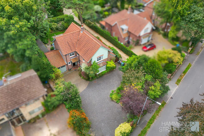 Drone