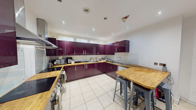 snapedit_1707839648067