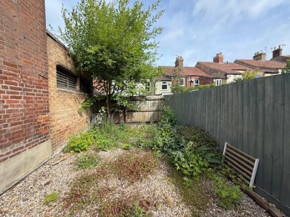 New Pic Of Garden 2 T202505291024.jpg