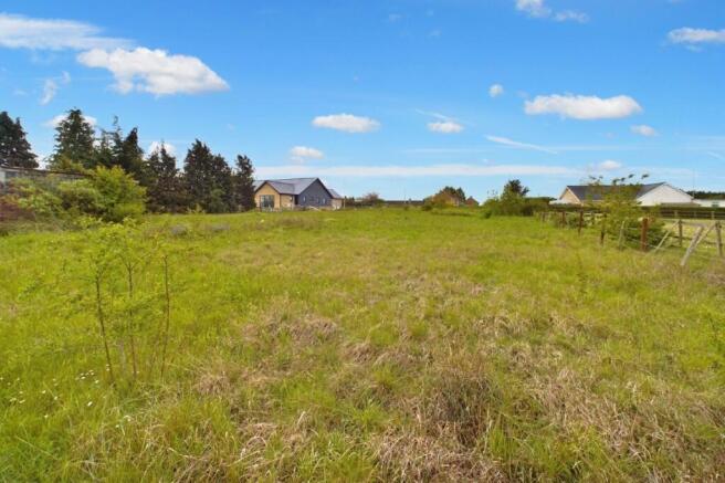 Image 3  Medium  T202508201438.jpg