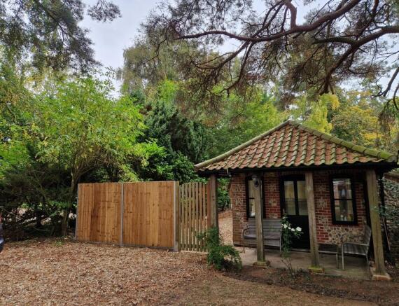 1 Medium T202510291555.jpg