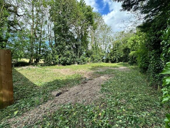 1 Medium T202506121519.jpeg