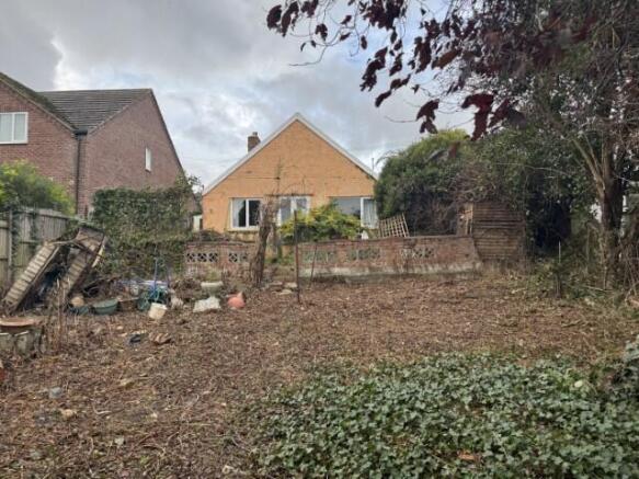 20251020 124638041 IOS Small T202511121549.jpg