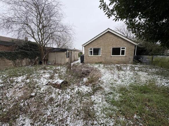 2  Medium  T202601080948.jpg