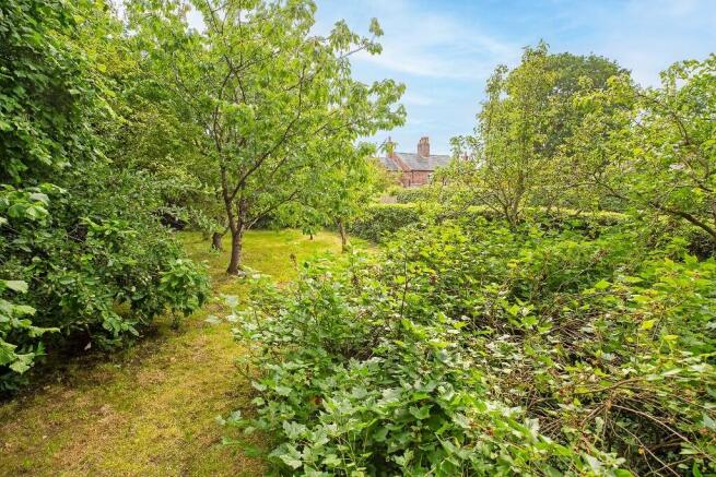 The Orchard