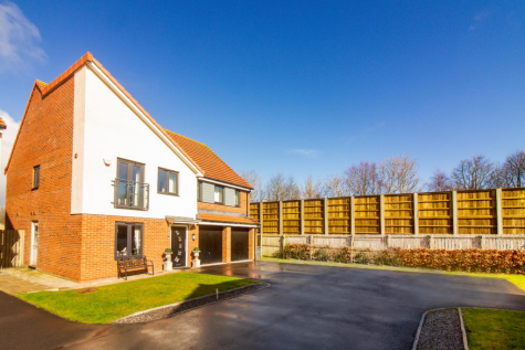 Harbottle Grove, Holystone