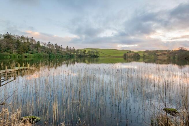 Tarn