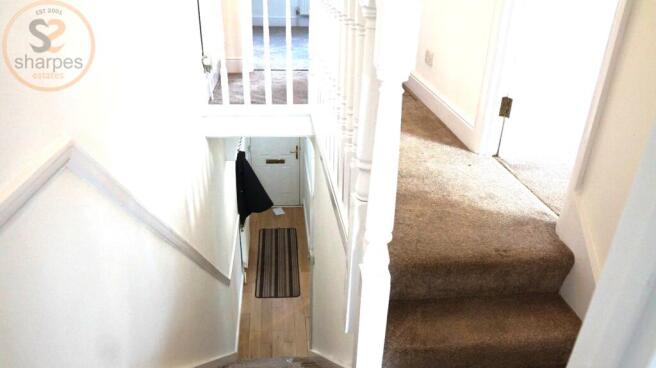 20241113124845695_original