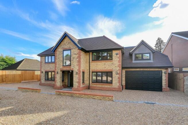 The Squirrels - Image 1.jpg