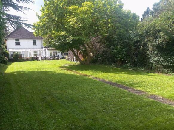 Photo 15