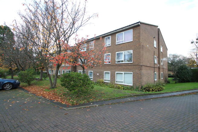 external (Rear)