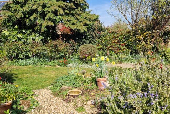 Rear Gardens