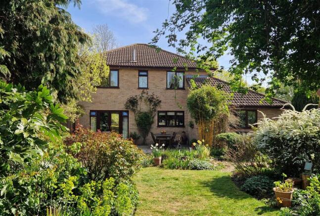 Rear Gardens