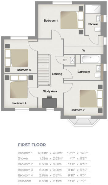 First Floor
