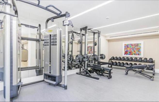 Gym.jpg
