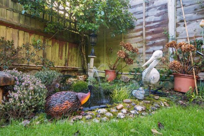 Garden Pond