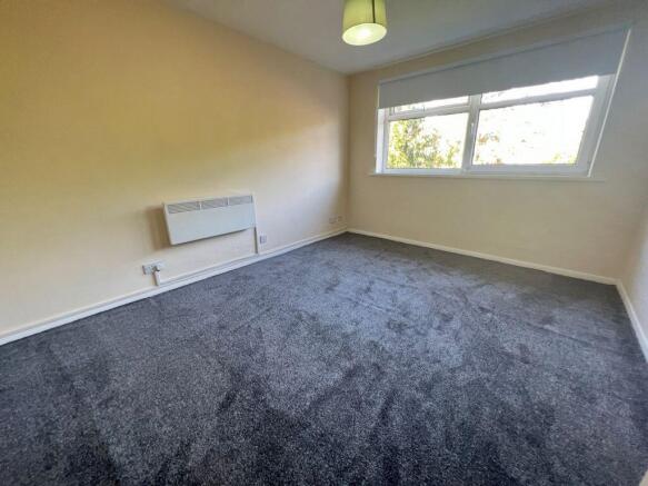 Lounge/Bedroom