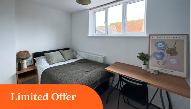 Group 1000004216.png