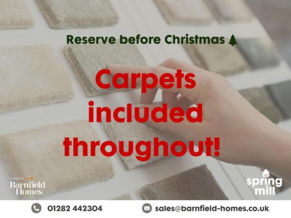 Carpet Offer