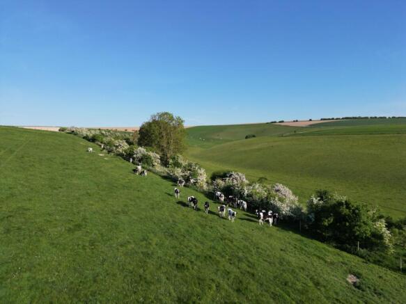 Valley