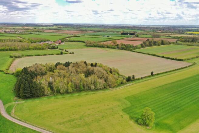 Arable Land