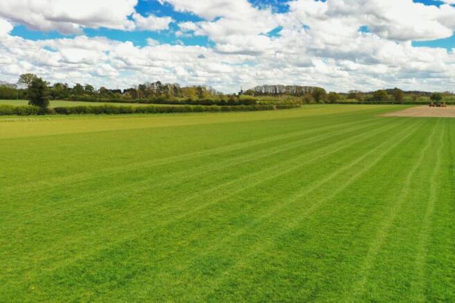Turf