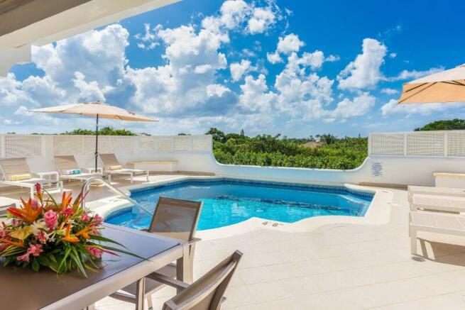 Pool/Patio View