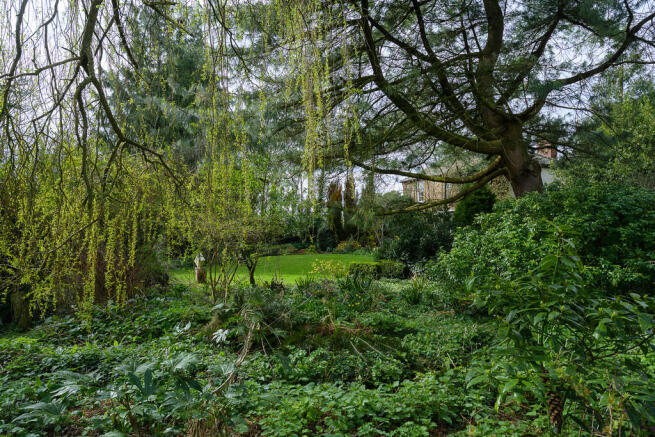 shieldbrook-19