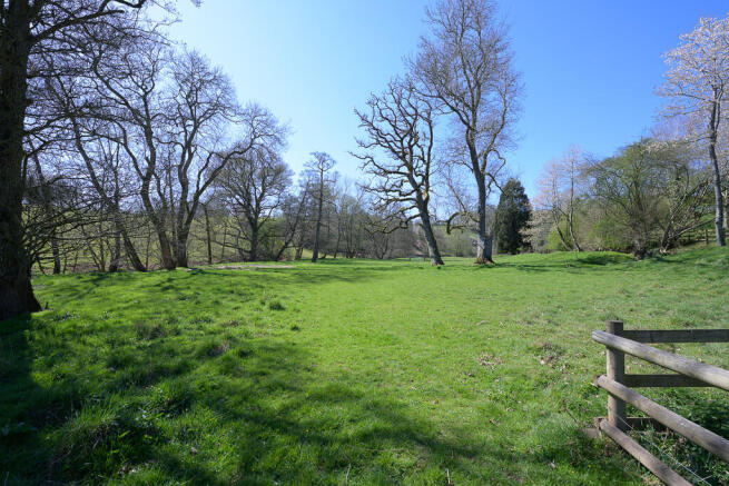 Trereece Mill-2