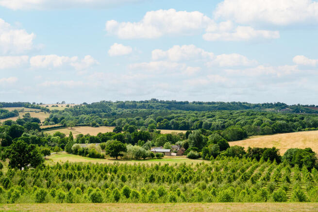 The Granary, Wood...