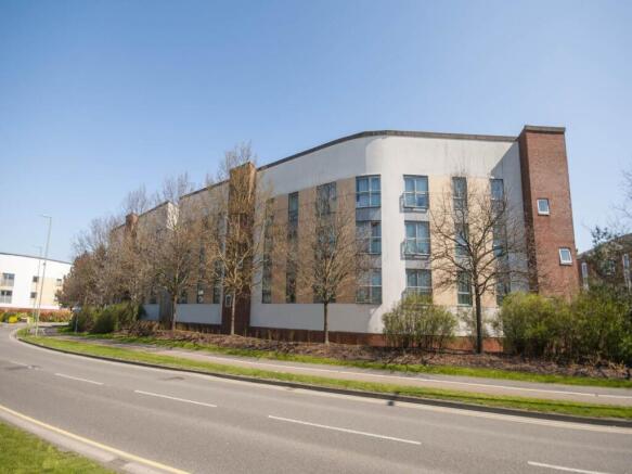 Aviation Crescent Sh