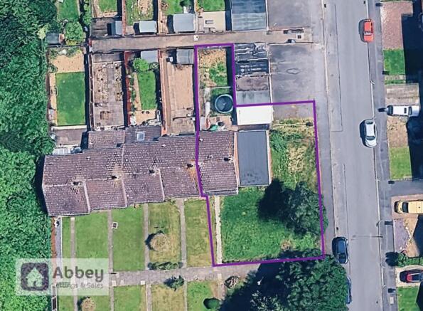 Plot View