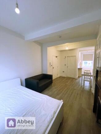 Living/Bedroom/Kitchen Areas