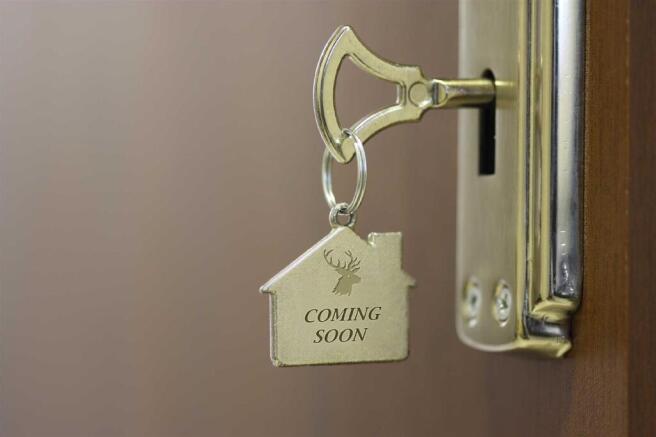 COMING SOON PHOTO 2.jpg