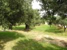 Land in Provence-Alps-Cote for sale