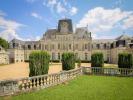 Pays de la Loire Castle for sale