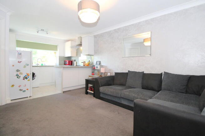 IMG_8049_3_origin...