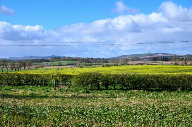 View From Plot