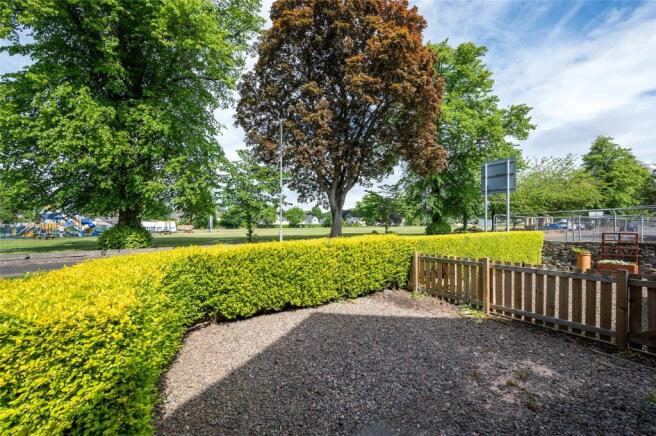 Back Garden