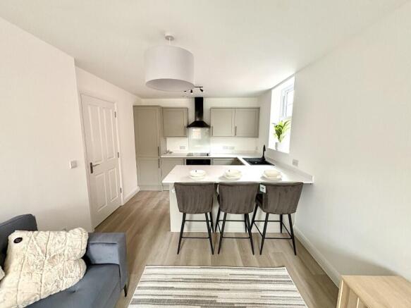 Kitchen/Living Area