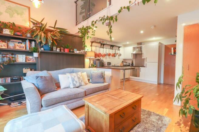 Open Plan Living Room and Kitchen