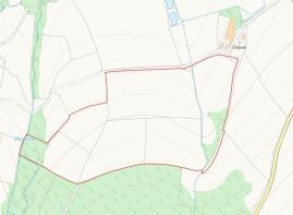 IMG_5071.jpeg