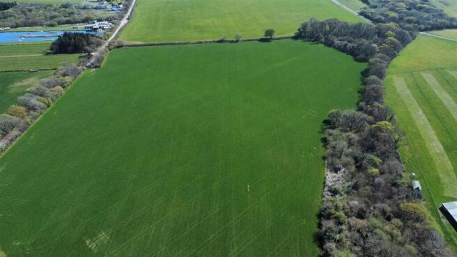 dji_fly_20250411_143558_189_1744378699769_photo_op
