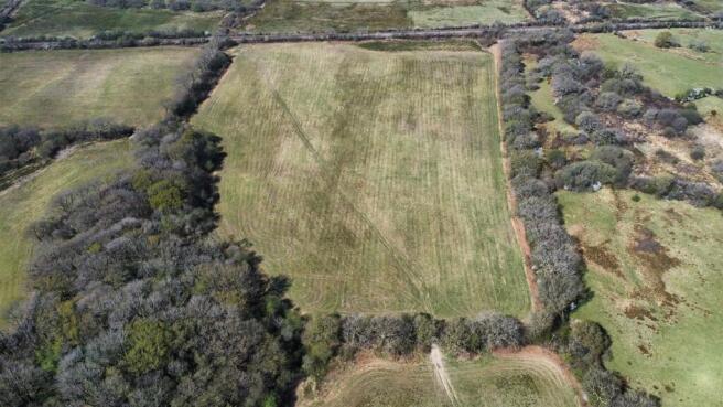dji_fly_20250411_135600_177_1744376280373_photo_op