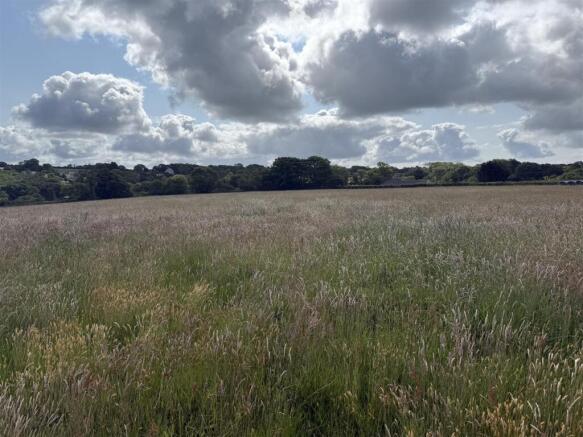 LAND AT CASTLE MEADOW 1.jpg