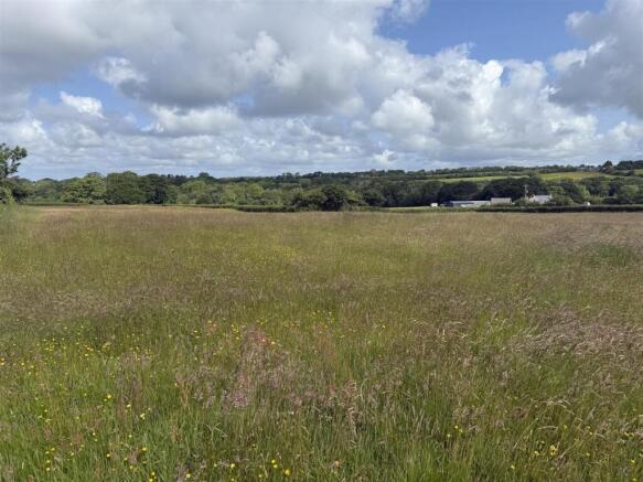 LAND AT CASTLE MEADOW 2.jpg