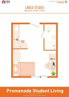 Large Studio Floorplan