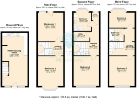 FloorPlan - 32 The Avenue, Durham.png