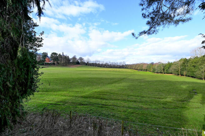 View From Garden
